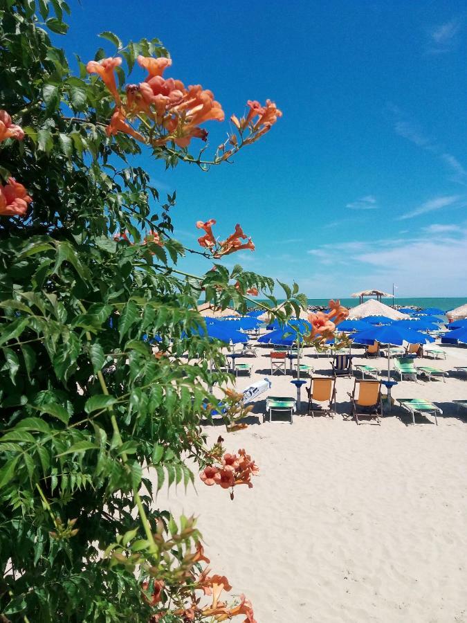 Appartamento Alba Rosa Francavilla Al Mare Exterior photo